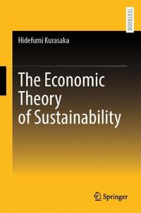 The Economic Theory of Sustainability
