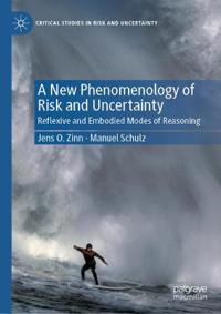A New Phenomenology of Risk and Uncertainty