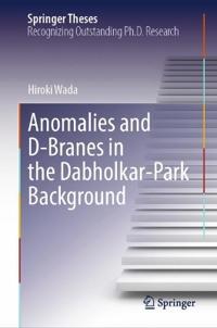 Anomalies and D-Branes in the Dabholkar-Park Background