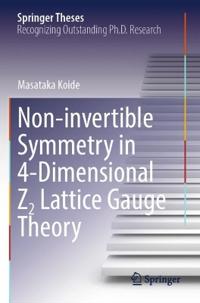 Non-invertible Symmetry in 4-Dimensional Z2 Lattice Gauge Theory