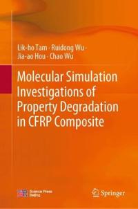 Molecular Simulation Investigations of Property Degradation in CFRP Composite