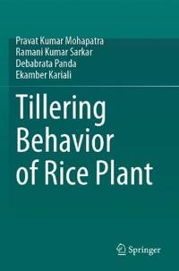 Tillering Behavior of Rice Plant