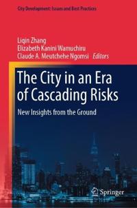 The City in an Era of Cascading Risks