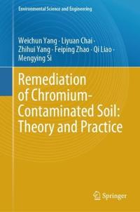 Kirjan kansi "Remediation of Chromium-Contaminated Soil: ?Theory and Practice?"
