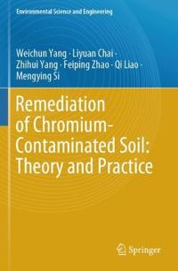 Remediation of Chromium-Contaminated Soil: ?Theory and Practice?