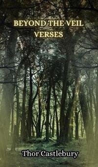 Bokomslag för "Beyond the Veil Verses"