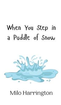 When You Step in a Puddle of Snow