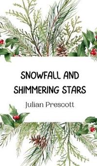 Snowfall and Shimmering Stars
