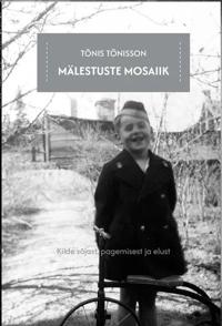 Mälestuste mosaiik. Kilde sõjast, pagemisest ja elust