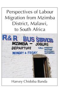 Perspectives of Labour Migration from Mz
