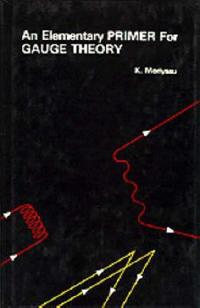 Elementary Primer For Gauge Theory, An
