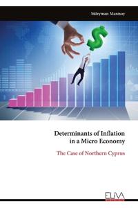 Determinants of Inflation in a Micro Economy