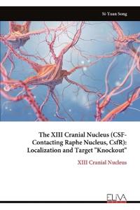 The XIII Cranial Nucleus (CSF-Contacting Raphe Nucleus, CsfR)