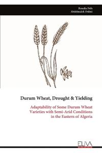 Durum Wheat, Drought & Yielding
