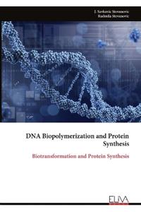 DNA Biopolymerization and Protein Synthesis