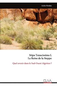 Stipa Tenacissima L La Reine de la Steppe