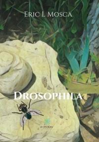 Drosophila