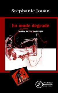 En mode degrade