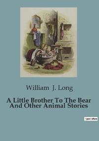 A Little Brother To The Bear And Other Animal Stories