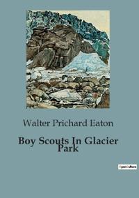 Boy Scouts In Glacier Park