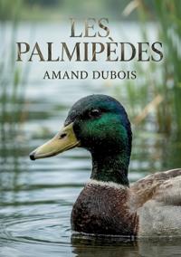 Les Palmipèdes