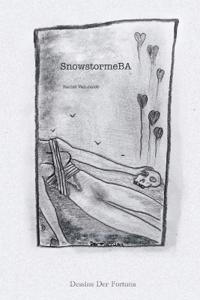 SnowstormeBA