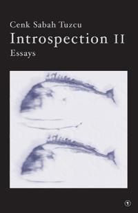 Introspection II