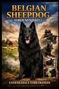 Belgian Sheepdog (Groenendael)