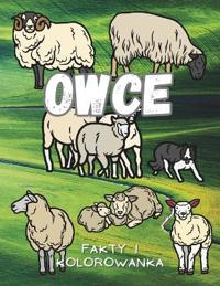Owce