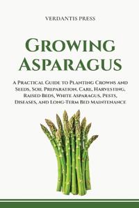 Growing Asparagus