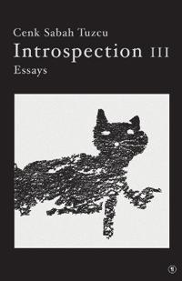 Introspection III