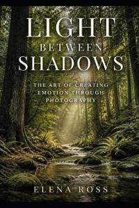 Light Between Shadows