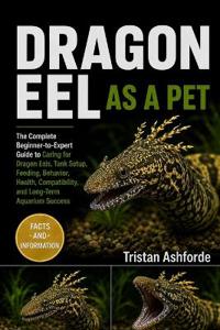 DRAGON EEL AS A PET