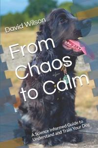 From Chaos to Calm