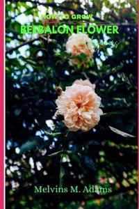 How to grow  Beebalon for beginners