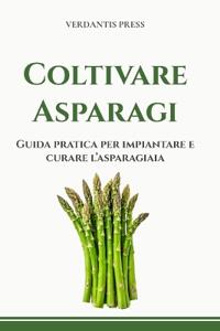Coltivare Asparagi