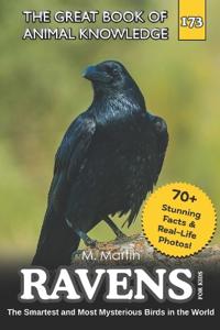 Ravens for Kids
