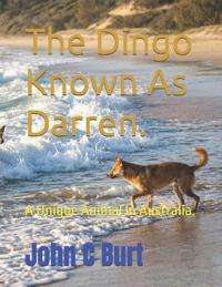 The Dingo Known As Darren.