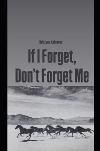 If I Forget, Don't Forget Me