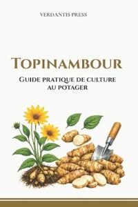 Topinambour
