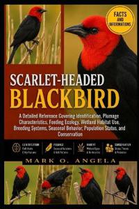 Scarlet-Headed Blackbird