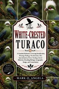 WHITE-CRESTED TURACO