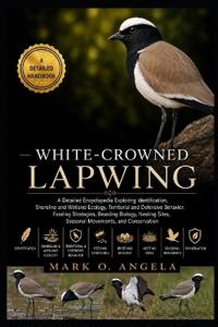 WHITE-CROWNED LAPWING