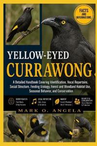 YELLOW-EYED CURRAWONG