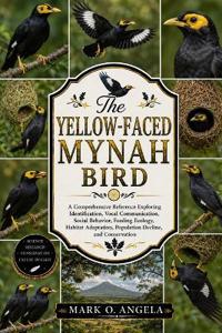 YELLOW-FACED MYNAH BIRD