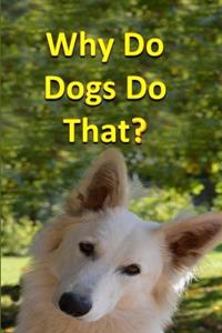 Why Do Dogs Do That?