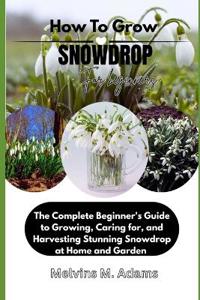 How to Grow Snowdrop Flower for Beginners