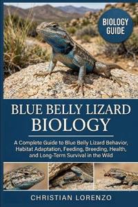 BLUE BELLY LIZARD BIOLOGY