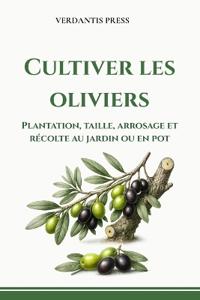 Cultiver les oliviers