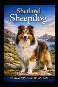 Shetland Sheepdog